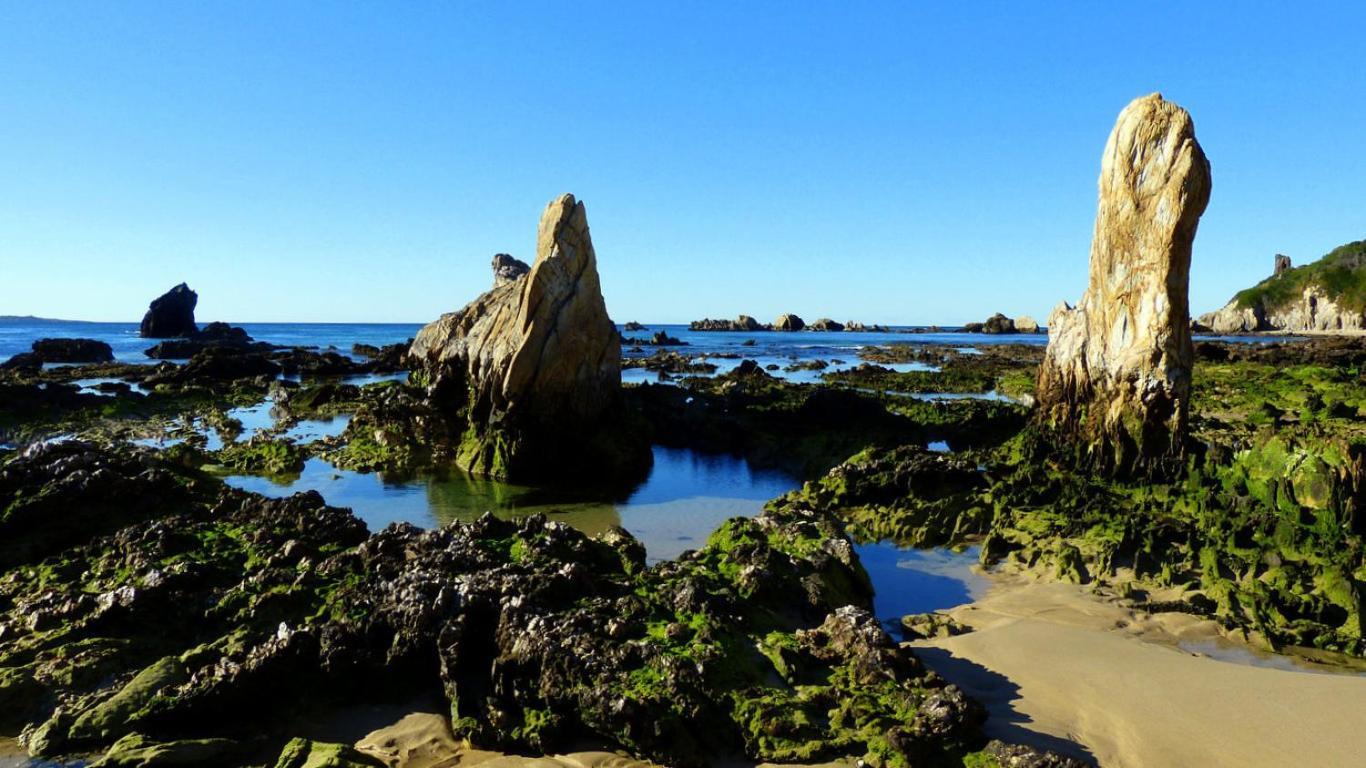 Coastal Comfort Motel Narooma Bagian luar foto